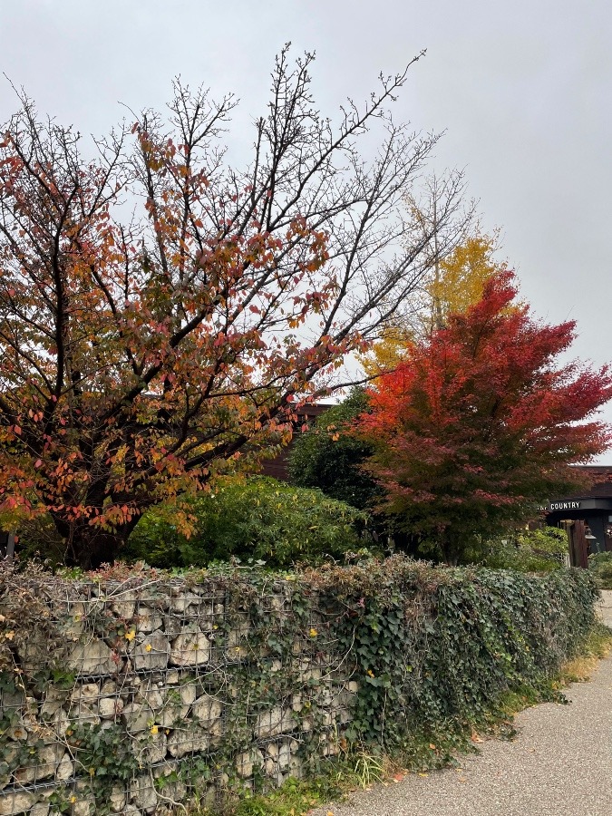 心安らぐ風景