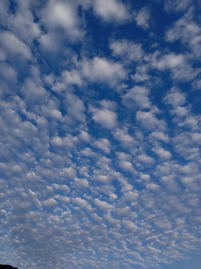 夕方の雲☁️