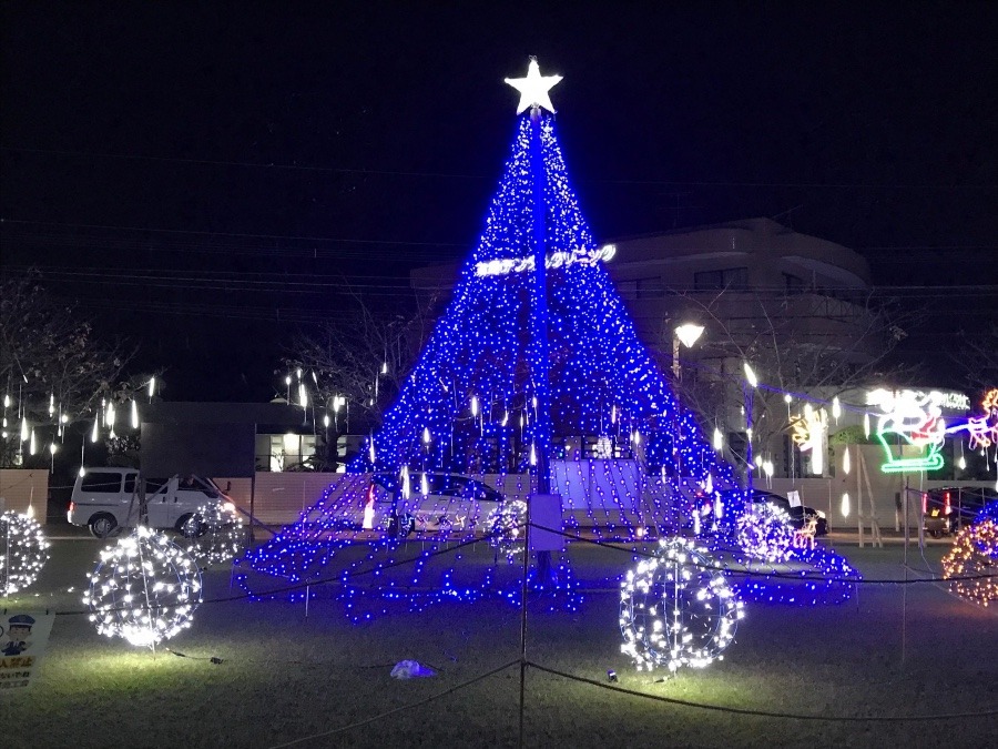 🌟  清武町イルミネーション‼️③（≧∇≦）