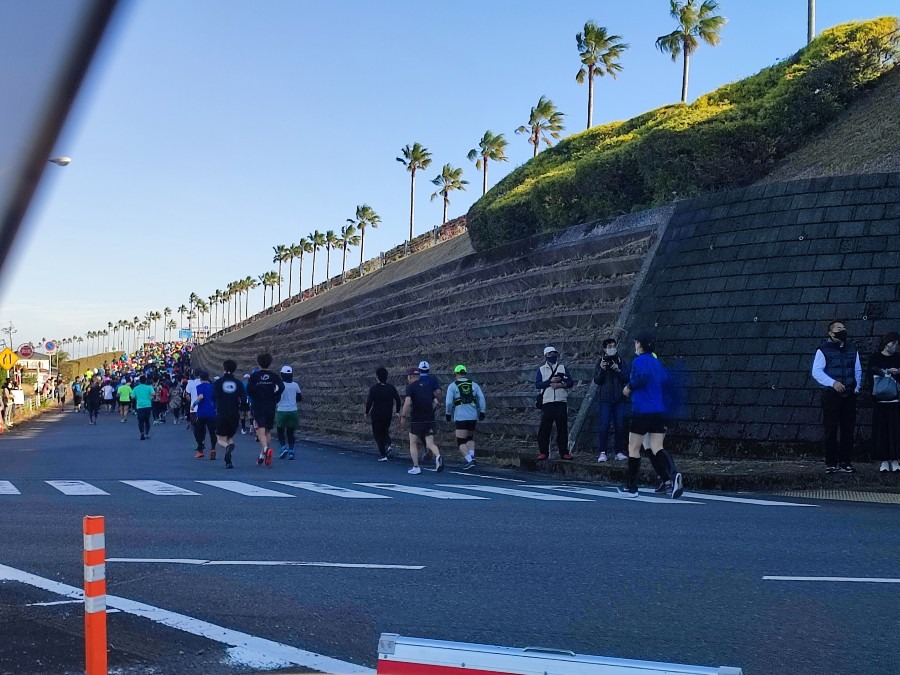 青島太平洋マラソン🏃