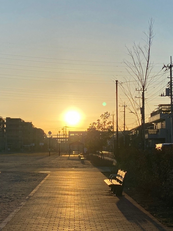 公園の夕陽☀️