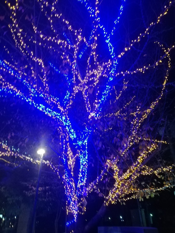 もうすぐ