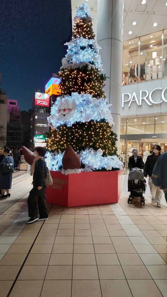 大きなクリスマスツリー！(1)