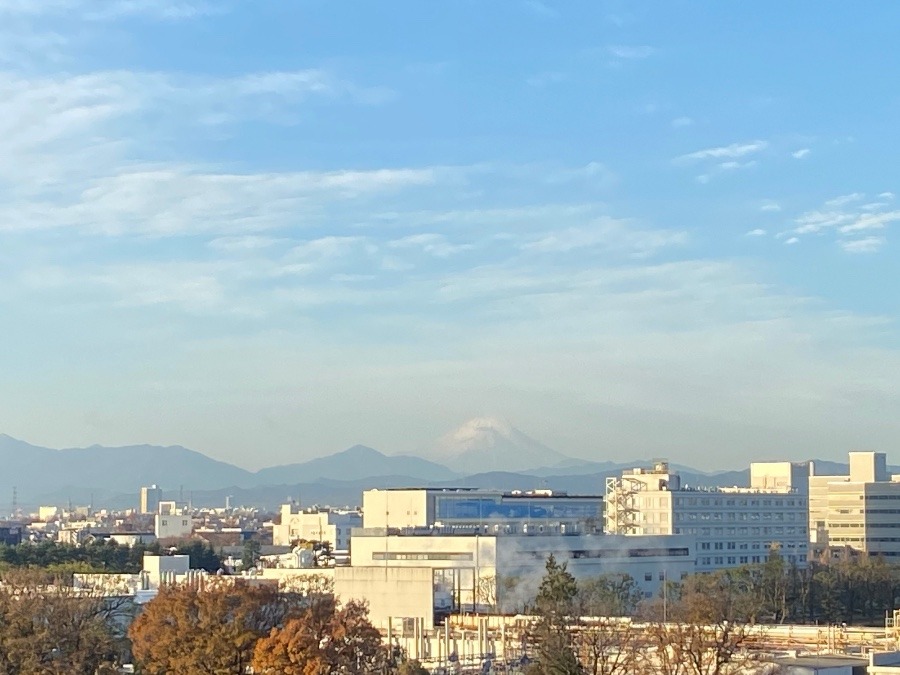 今朝の富士山