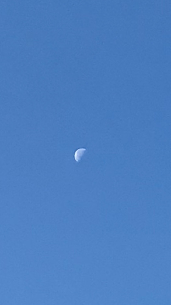 朝のお月さま〜