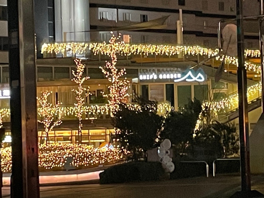 🎄イルミネーション✨✨