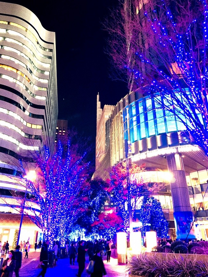 ☆ TOKYO MIDTOWN HIBIYA ☆