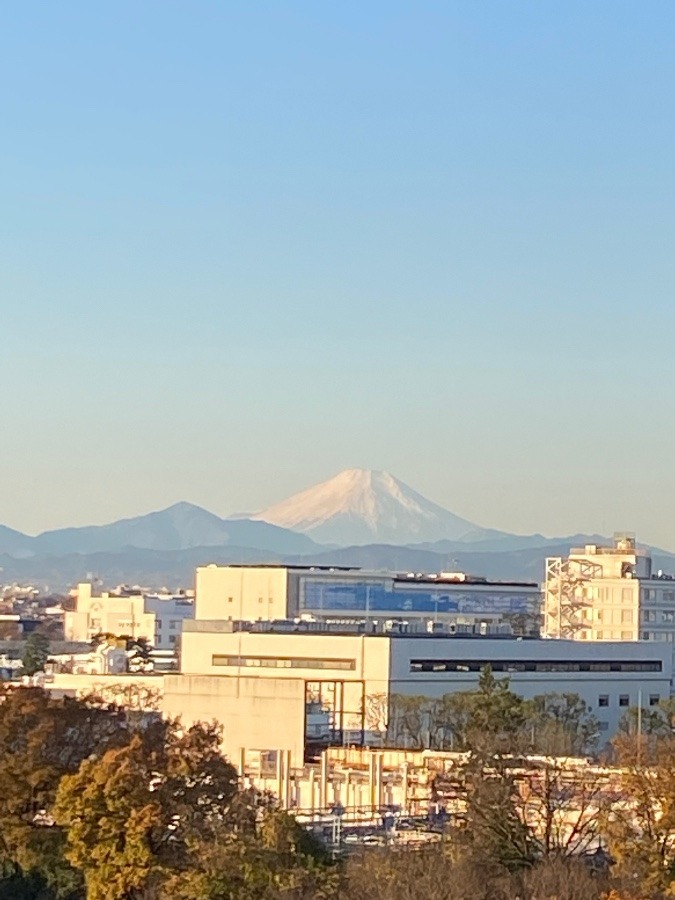 今朝の富士山