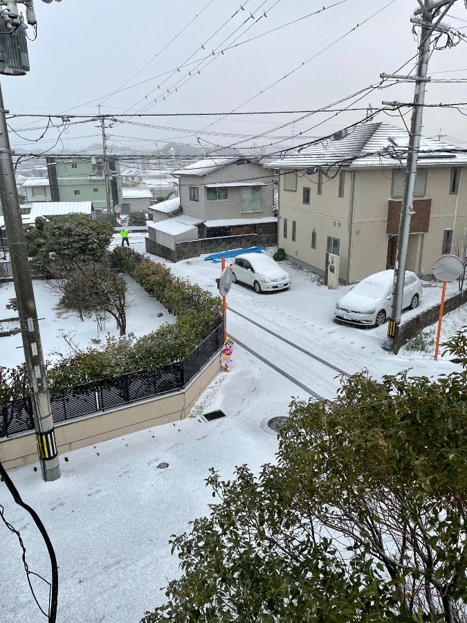 あっという間に☃️