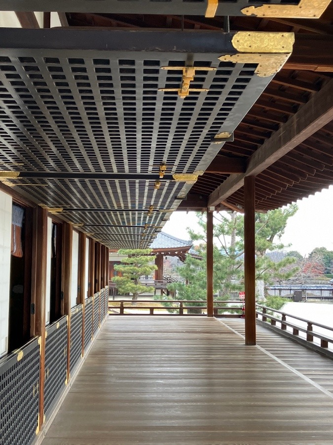 京都嵯峨野【大覚寺】