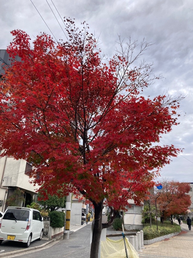 出勤途中② 1201