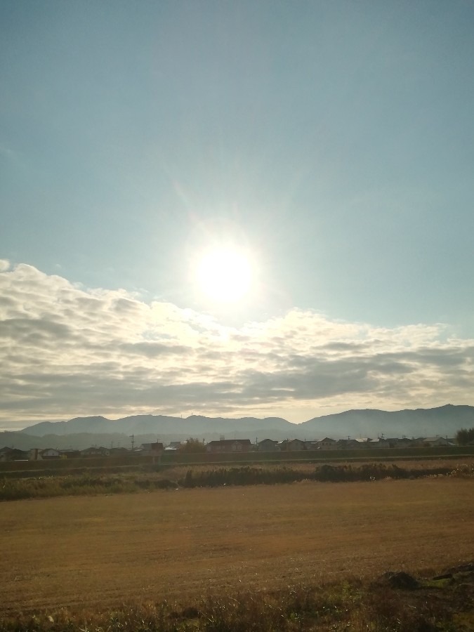 今朝の空