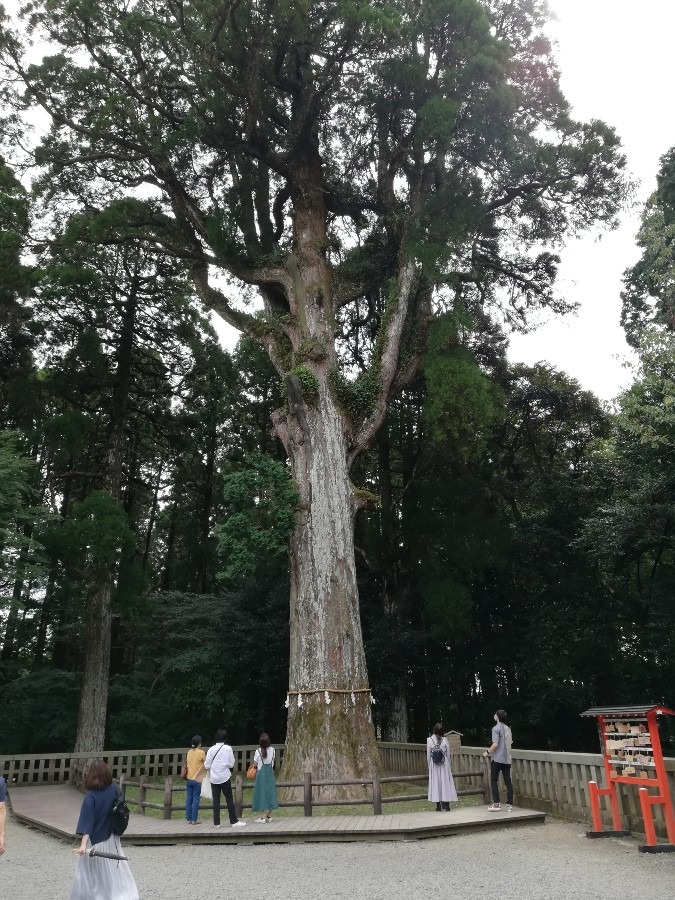 関東盛り上げ隊さん