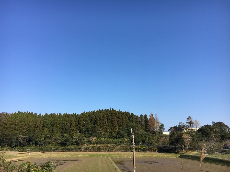 ⭕️空部→   今日の空（≧∇≦）‼️295.