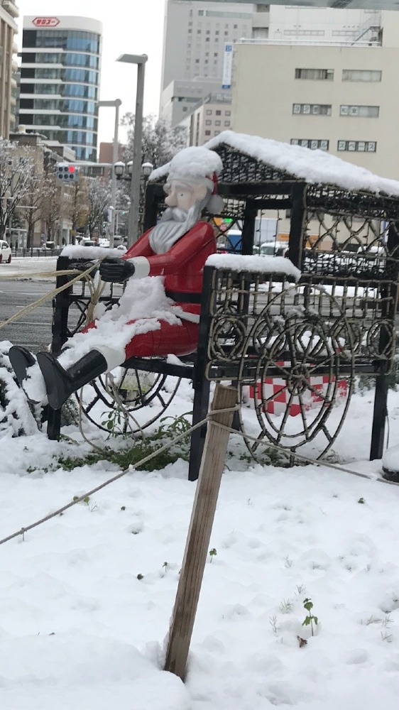 今朝の雪で…☃️❄️