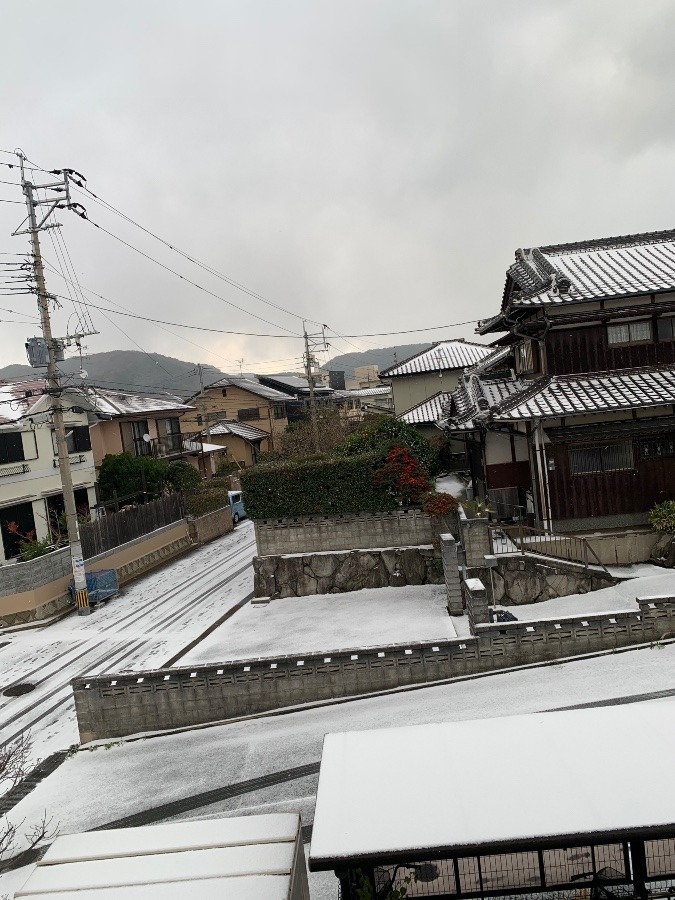 雪