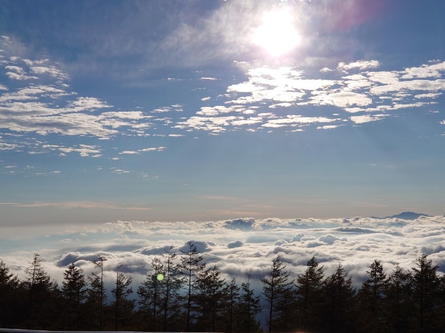 雲海