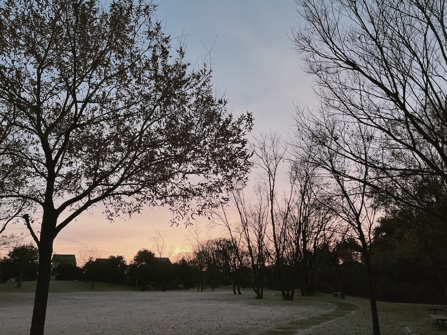 【朝の空】