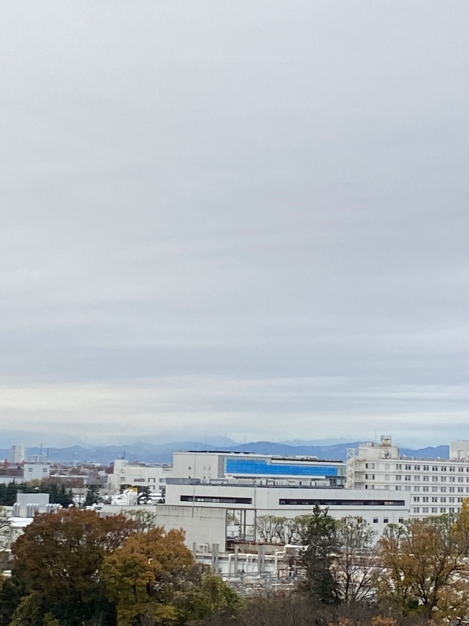 今朝の富士山