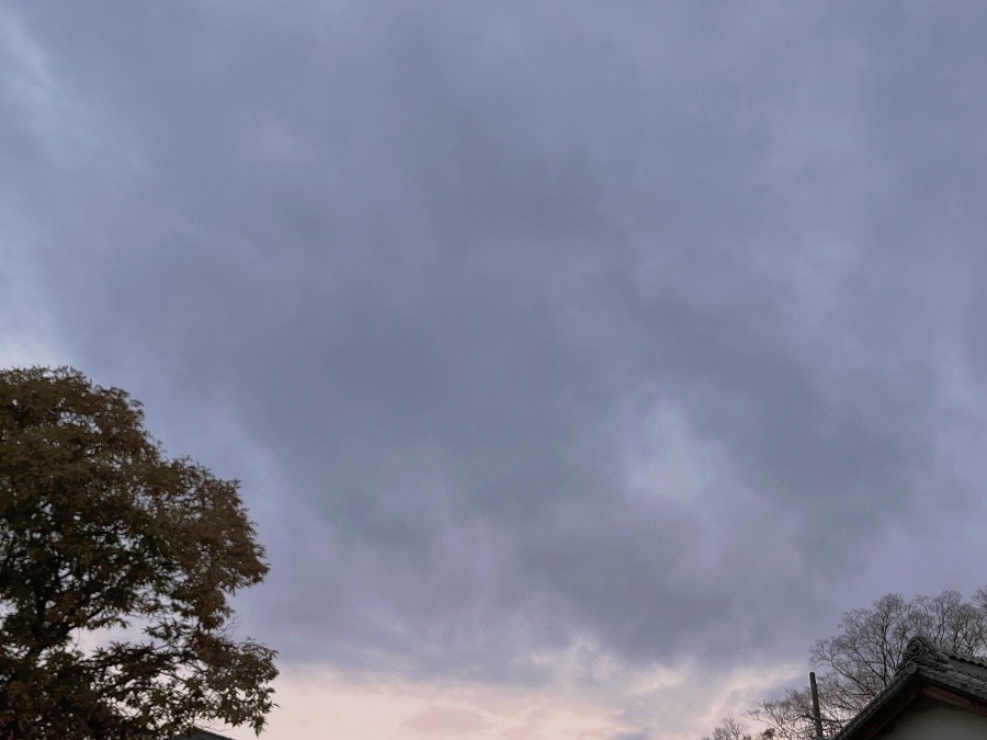 【朝の空】