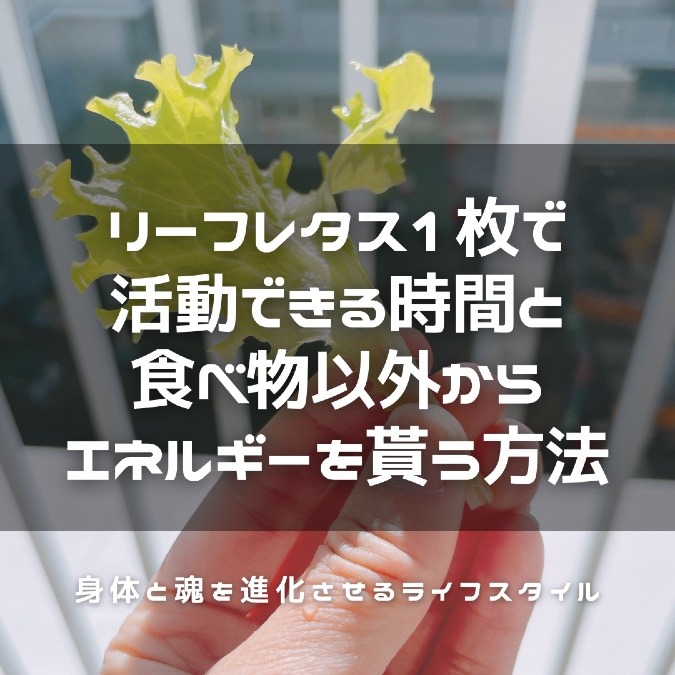 リーフレタス1枚で活動できる時間と、食べ物以外からエネルギーを貰う方法