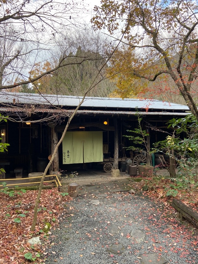 熊本でも地鶏！