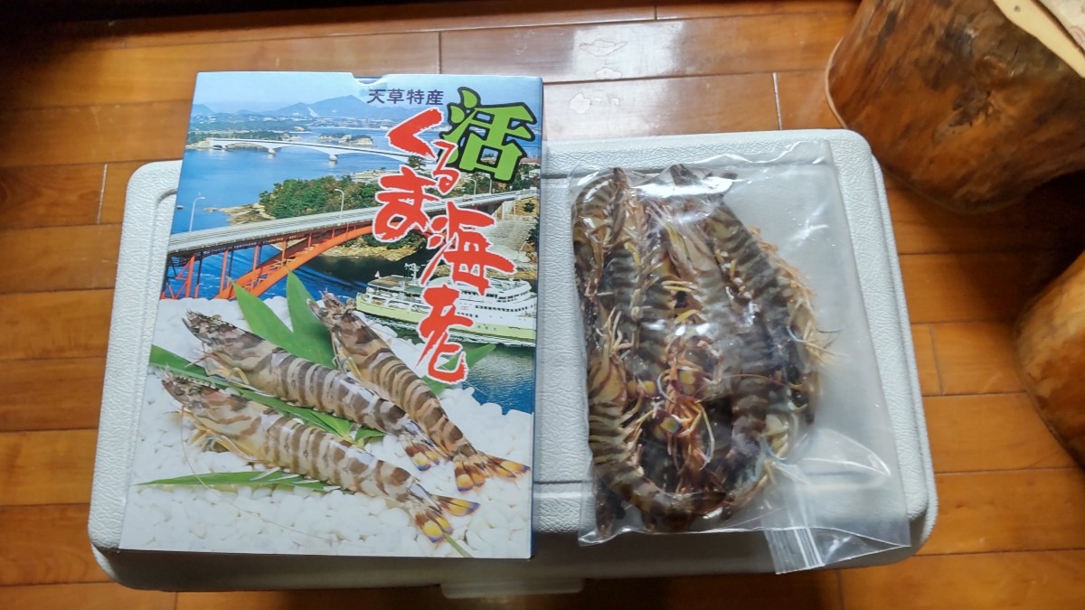 御歳暮を買いに養殖場へ！