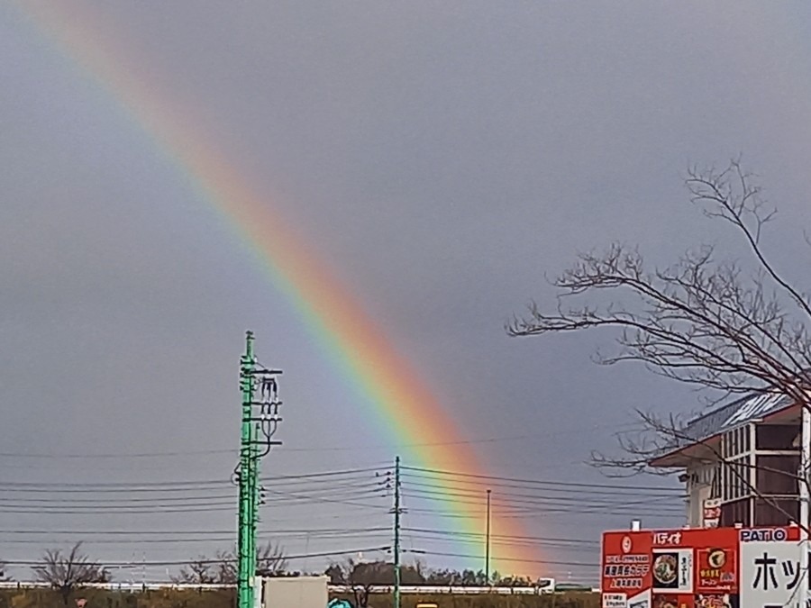 今虹🌈