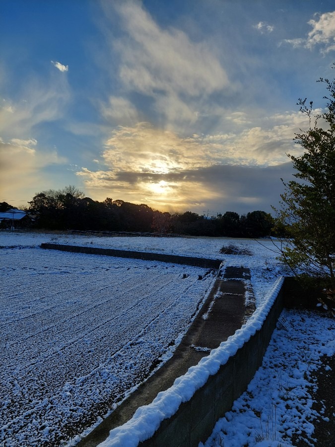 12/19朝空