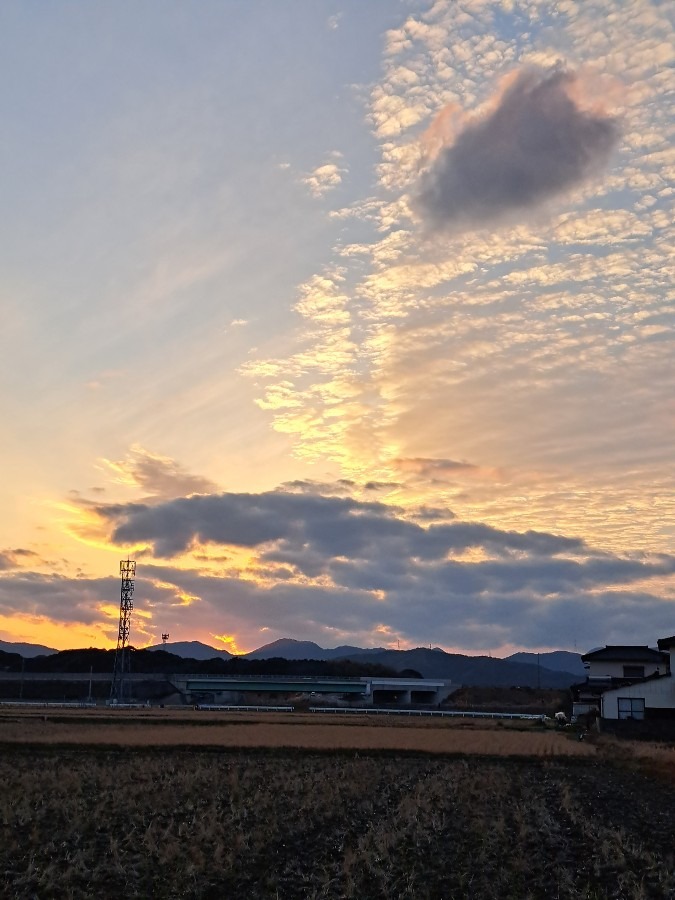 5時のオルゴール