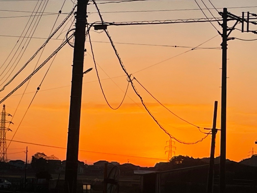 おはようございます🌅