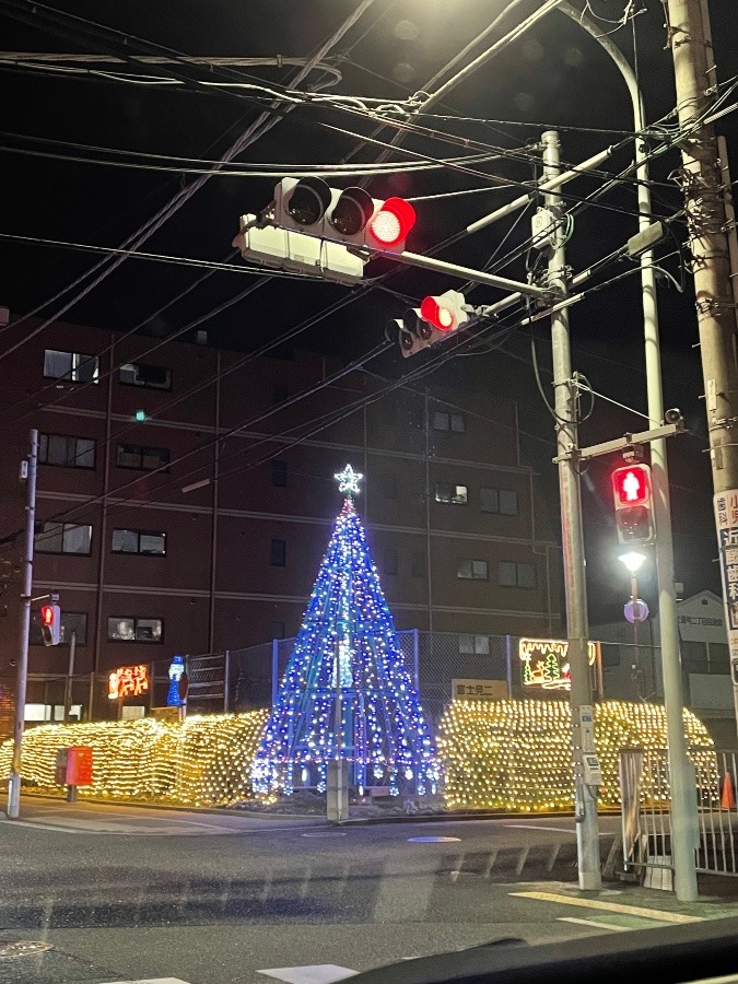 街の公園🎄