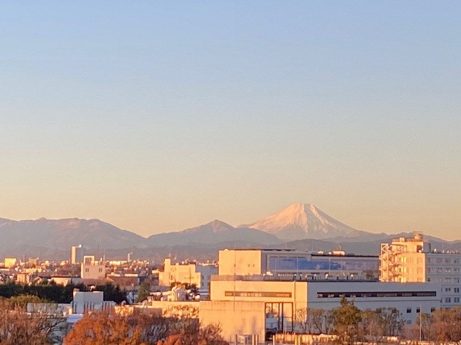 今朝の富士山