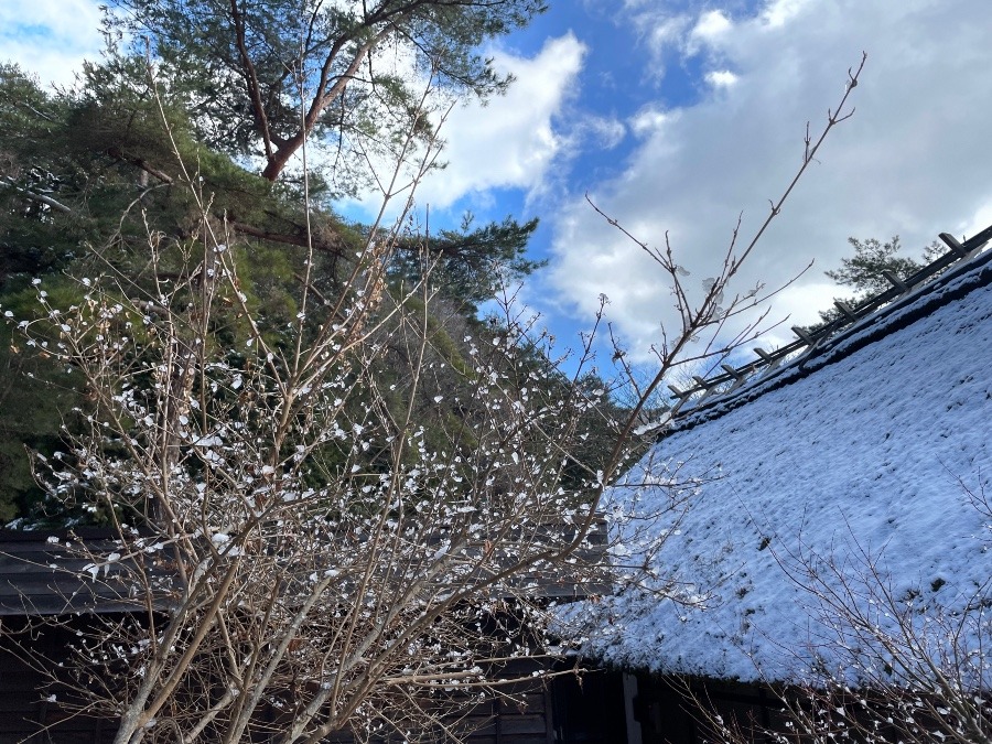 お正月🎍