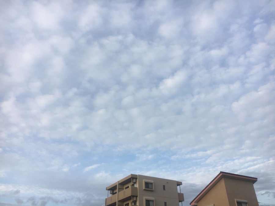 ⭕️空部→   いま空（≧∇≦）‼️287.