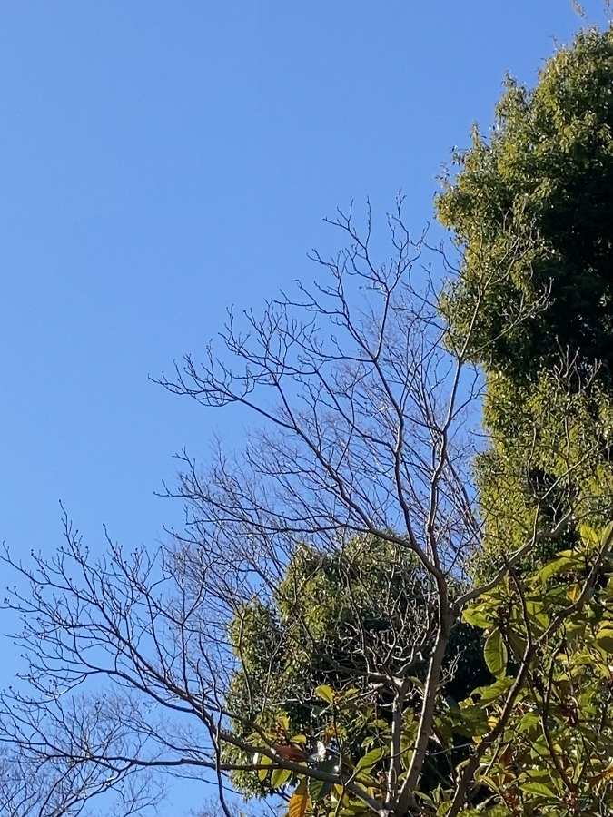 今日も晴天✨