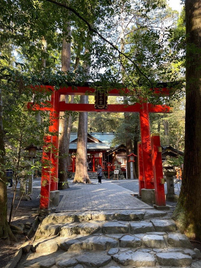 椿岸神社②