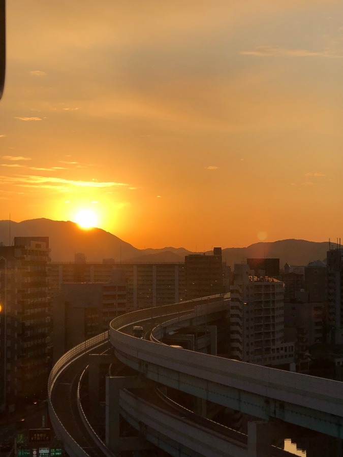 綺麗な朝日