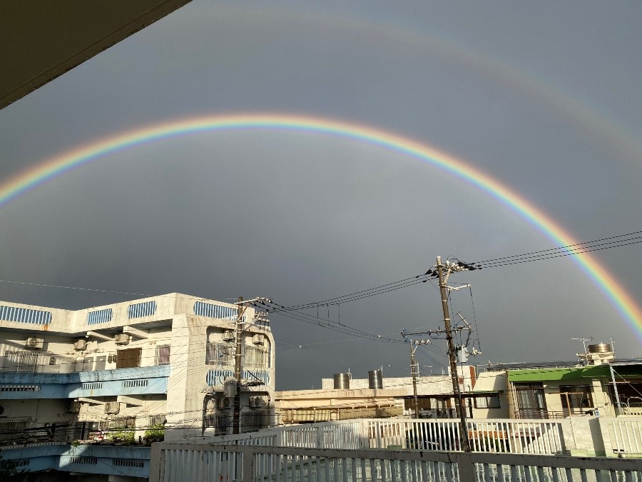 綺麗な虹！