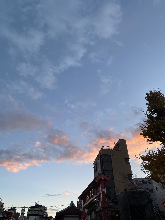 お正月の夕暮れ