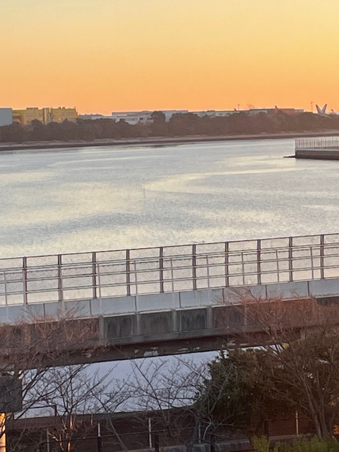 森ケ崎公園からの景色