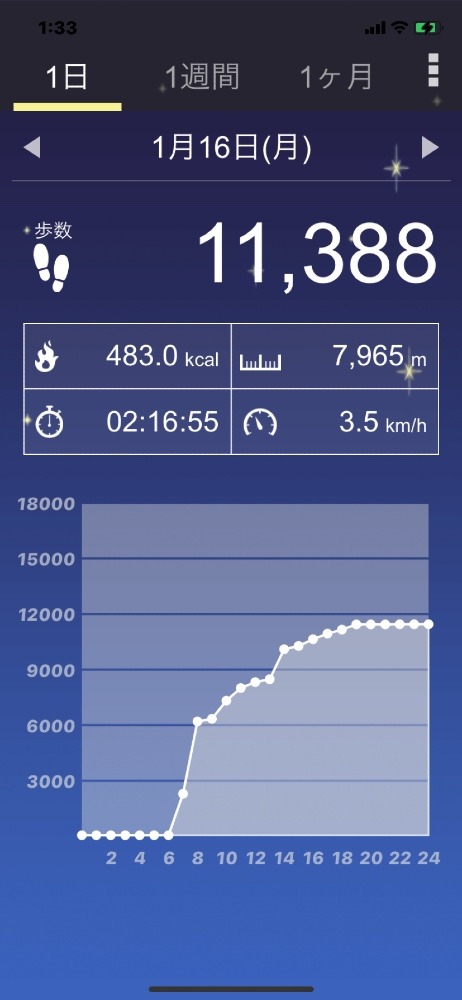 11388歩
