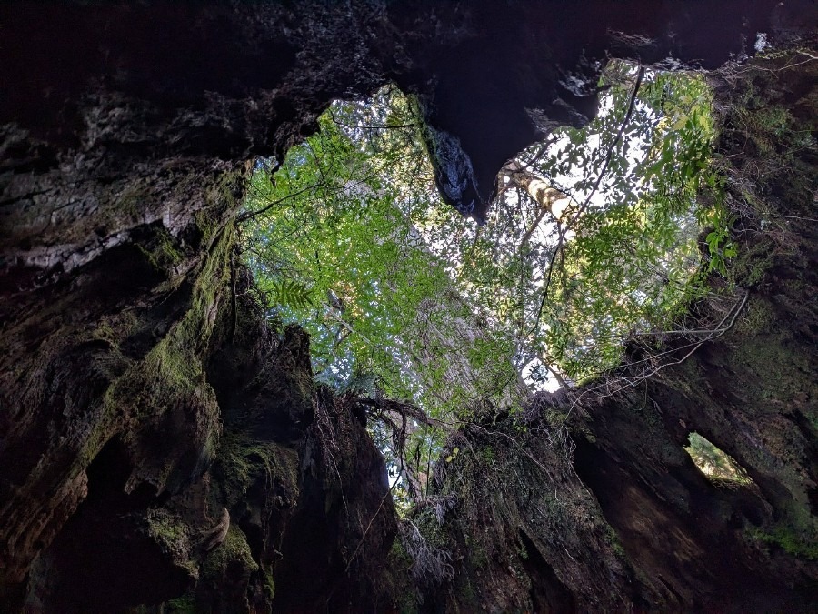 年末年始は屋久島旅