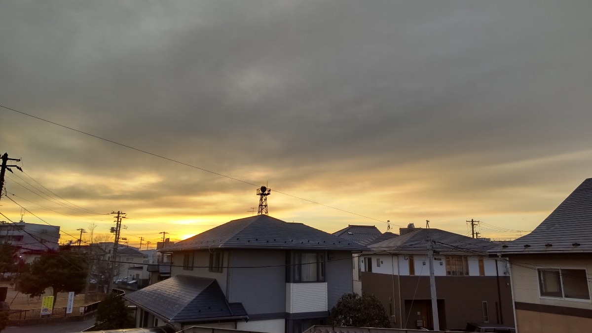 冬の朝です。寒さがヒシヒシ❗️