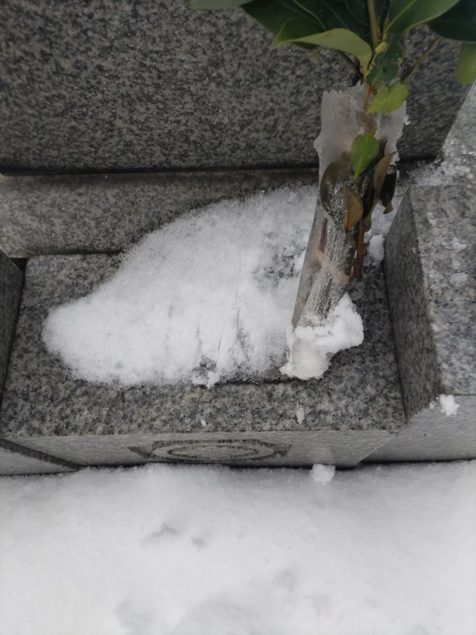 榊の根本も凍ってた(^_^;)