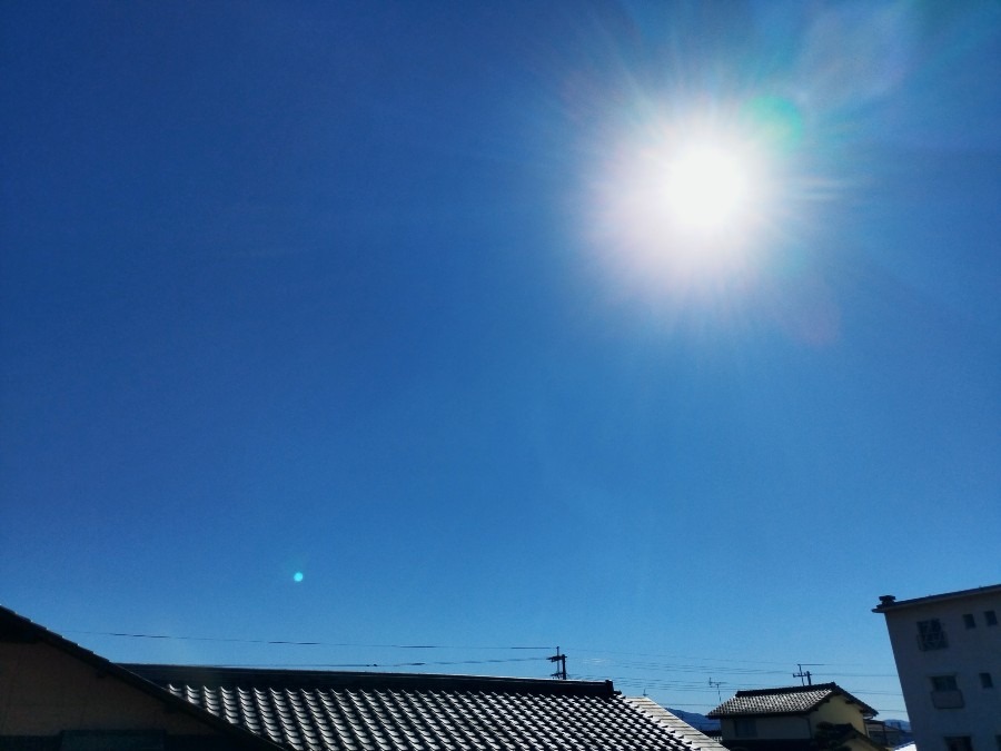 お日様の光🌞