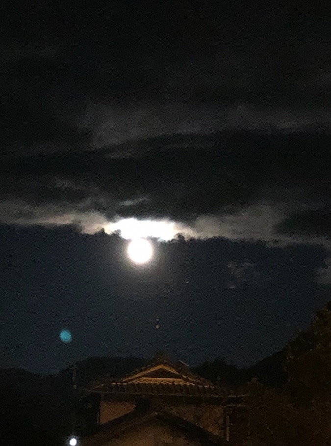 🌕ウルフムーン