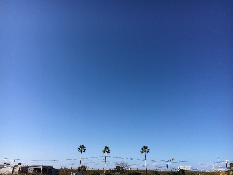 ⭕️空部→ 今日の空（≧∇≦）‼️354.