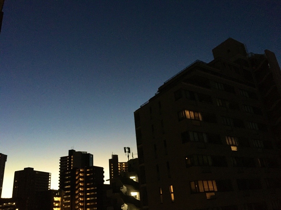 1/3 朝空