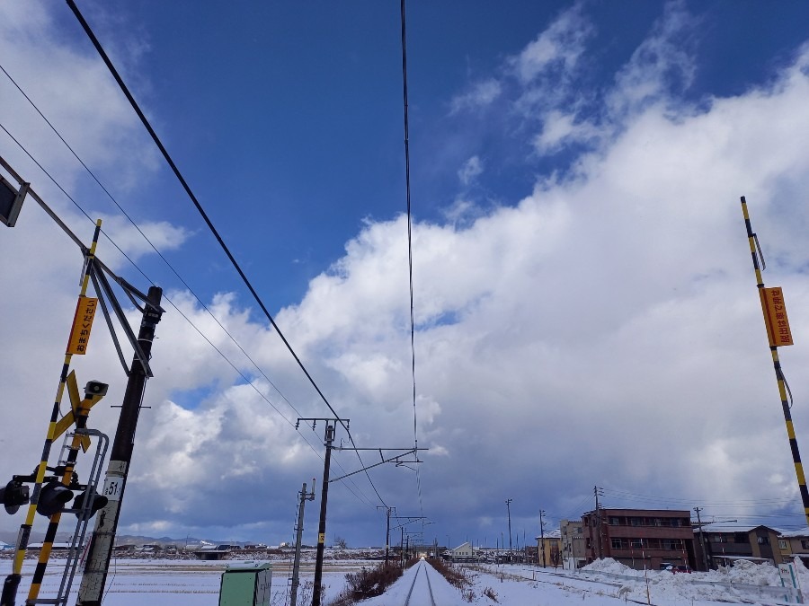 雪はこの程度